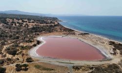 Antik Liman Kalpli Pembe Göle Büründü