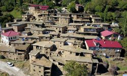 Bitlis'in Taş Evleri Tarihi Yaşatıyor