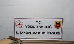 Yozgat’ta Kaçak Kazıya Suçüstü