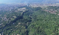 Bulak Kanyonu, Doğa Turizmine Açılıyor