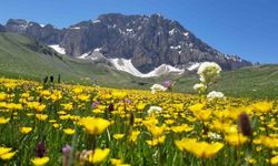 Merg Yaylası, Doğaseverlere Ev Sahipliği Yapıyor