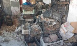 Tarihi Çömlek ve Seramikler Atıl Vaziyette Çürümeye Terkedildi
