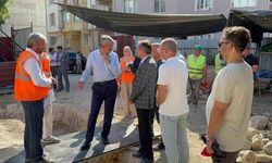 Yıkık tarihi Çokalca Camisi yeniden ayağa kaldırılıyor