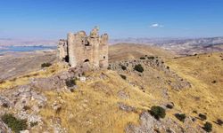 Tarih tutkunları bin yıllık Mor Ahron Manastırı’nda buluştu