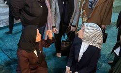 Ayasofya-i Kebir Cami-i Şerifi'nde restorasyon incelemesi