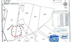 İdil’de iki köy arkeolojik sit alanı ilan edildi