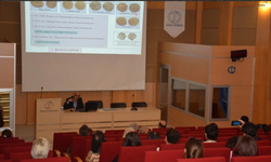 Orta Çağ’a ait büyük bir sarnıç ortaya çıkarıldı