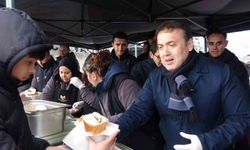 Uzun kuyrukların oluştuğu festivalde 2 ton 11 kilogram hamsi dağıtıldı