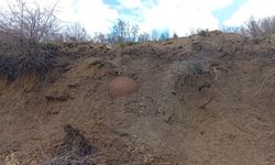 Vatandaşın ihbar ettiği tarihi küp boş çıktı