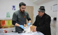 Cumhuriyet tarihinin ilk fakültesine ait hastanede, bir yılda 9 bin 600 hayvan şifa buldu