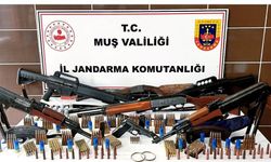 Muş'ta jandarmadan silah ve tarihi eser operasyonu