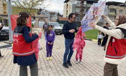 Alaşehir'de Romanlar Günü uçurtma şenliğiyle kutlandı