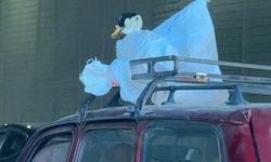 Aracın üzerindeki kazın ilginç yolculuğu kameraya yansıdı