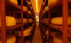 Kars Peynir Müzesi turistlerin gözdesi oldu