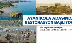 Ayanikola Adasında Restorasyon Başlıyor!