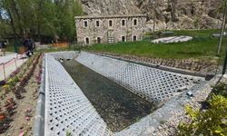 Van'da görsel şölen: İnci kefalleri tarihi Horhor Camii'ne konuk oldu