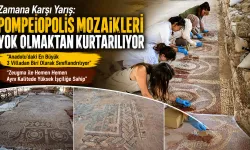 Pompeiopolis Mozaikleri Gün Yüzüne Çıktı!