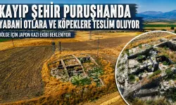 Tarihi Kazı Alanı Kaderine Terk Edildi