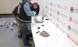 Edirne'deki gümrük kapılarında 7 bin 160 parça tarihi eser ele geçirildi