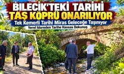 Bilecik'teki Tarihi Taş Köprü Restore Ediliyor.