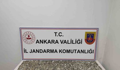 3 Milyon Lira Değerinde Tarihi Eserler Ele Geçirildi