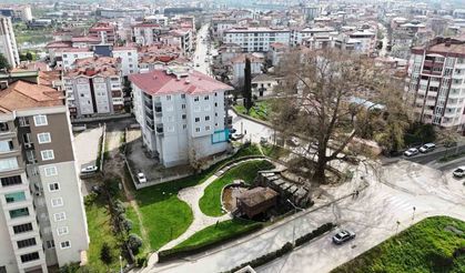 Asırlık Ağaç ve Değirmen Kentin Merkezini Süslüyor