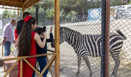 Tarsus Doğa Parkı Ziyaretçi Akınına Uğradı