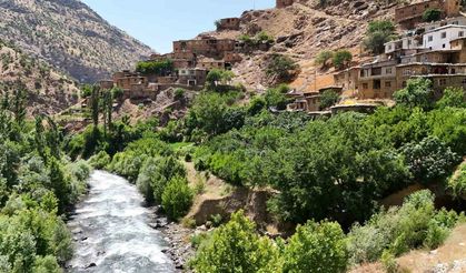 Bitlis’in gözde köylerinden Saklı Cenneti