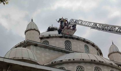 Cami kubbesinde mahsur kalan leyleği itfaiye kurtardı