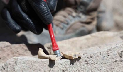 Tadım Kalesi’nde insan ve hayvan kemikleri ortaya çıktı