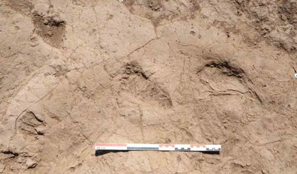 7 bin yıl öncesinden günümüze uzanan adımlar