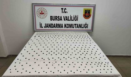 Jandarma’dan İznik’te tarihi operasyon