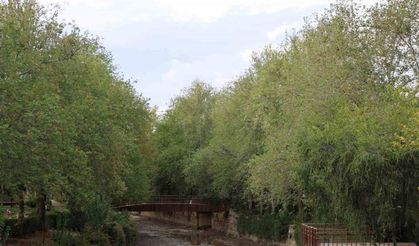 Tarihi ve doğal güzel alanı da kuraklıktan nasibini aldı