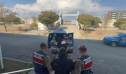 Jandarma'dan kaçak kazı operasyonu