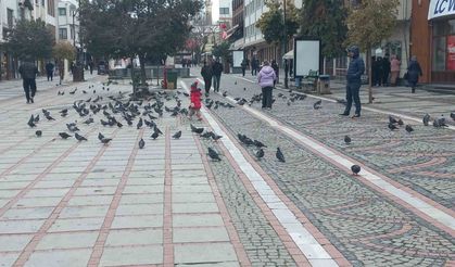Edirne'de dondurucu soğuk: Edirneliler evde, Bulgarlar mağazalarda