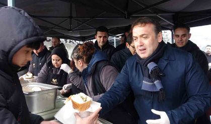 Uzun kuyrukların oluştuğu festivalde 2 ton 11 kilogram hamsi dağıtıldı