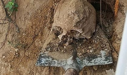 Bahçede yapılan kazıda insan kafatası ve kemikler bulundu