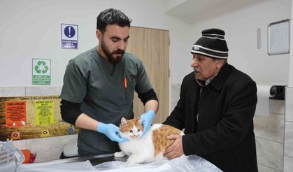 Cumhuriyet tarihinin ilk fakültesine ait hastanede, bir yılda 9 bin 600 hayvan şifa buldu
