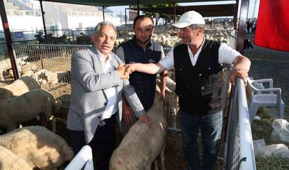 Talas'ta Kurban Pazarı başvuru tarihi belli oldu