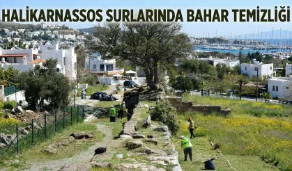 Halikarnassos Surlarında Bahar Temizliği