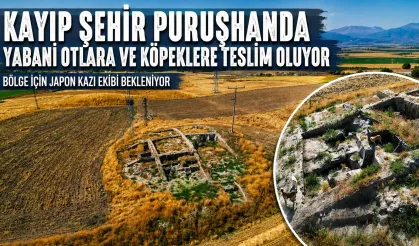Tarihi Kazı Alanı Kaderine Terk Edildi