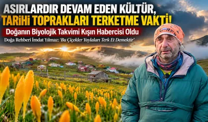 Asırlık Gelenek: Sarıtaş Yaylası'nda Göç Zamanı