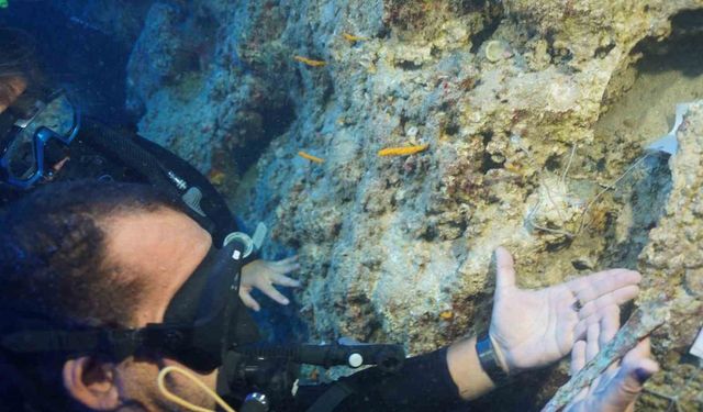 Akdeniz’in Derinliklerinde 3 bin 600 Yıllık Hançer Bulundu