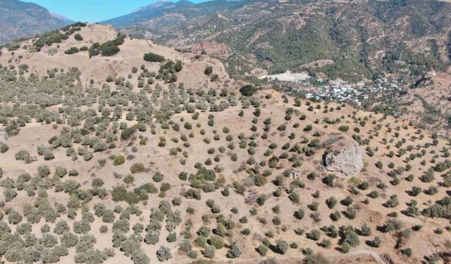 Tarihi Tiyatro ve Stadyum Gün Yüzüne Çıkmayı Bekliyor