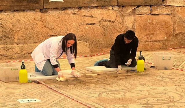 ‘Cennet Bahçesi’ Mozaiğinde Restorasyon ve Konservasyon Başladı