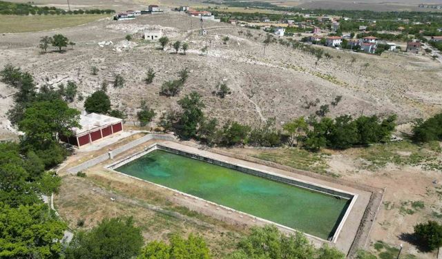Antik Roma Havuzu’nda 79 Yıl Sonra İlk Kazı