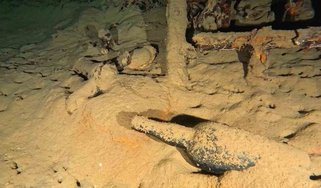 Gelibolu Su Altı Parkı’nda 110 yıllık Şarap Şişesi Bulundu
