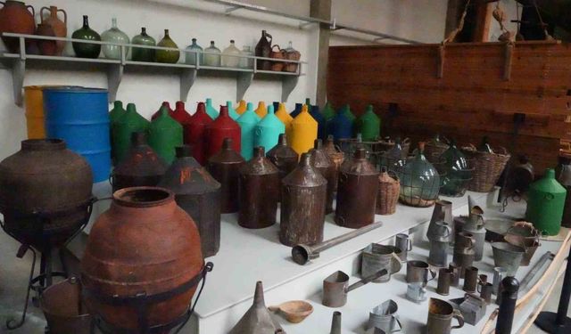 Zeytin Kültürü Dünyanın En Büyük Müzesinde Yaşatılıyor