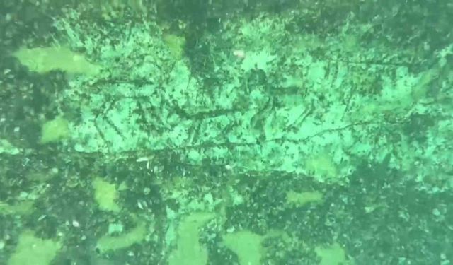 12 bin yıllık kaya resimleri su altında görüntülendi