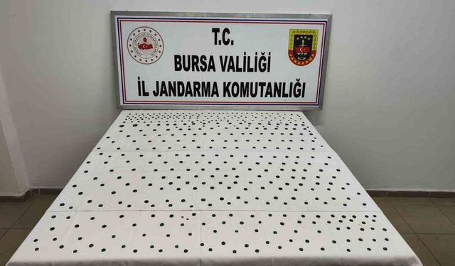 Jandarma’dan İznik’te tarihi operasyon